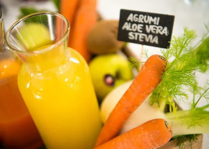 维也纳酒店 3* 切尔维亚