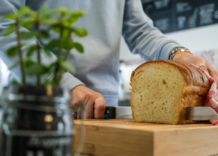 维也纳酒店 酒店