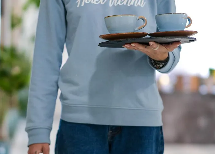 维也纳酒店 酒店 切尔维亚