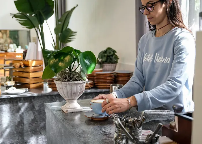 维也纳酒店 切尔维亚