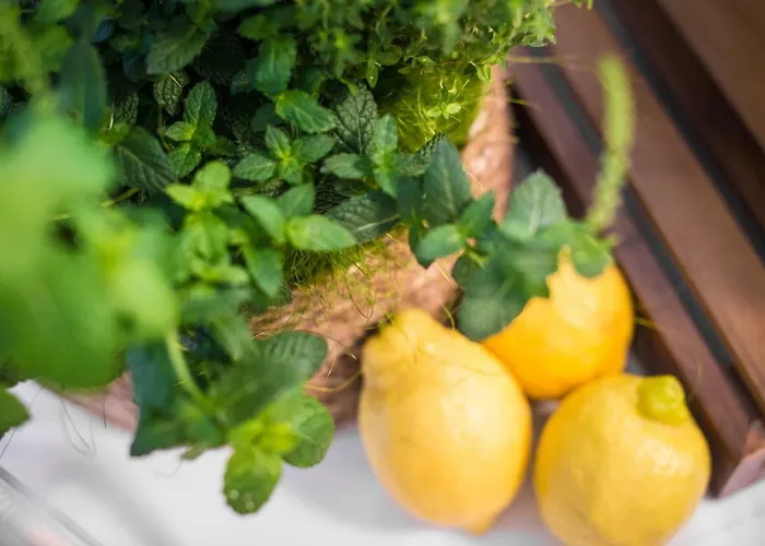 酒店 维也纳酒店 切尔维亚