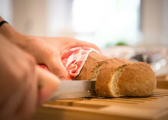 酒店 维也纳酒店 切尔维亚