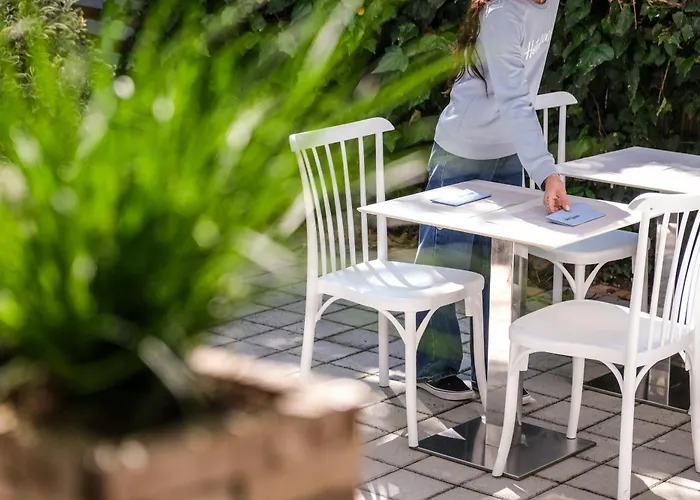 호텔 Vienna 체르비아