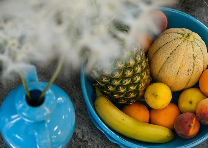 호텔 Vienna 체르비아