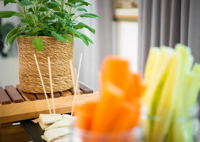 Vienna 호텔 체르비아